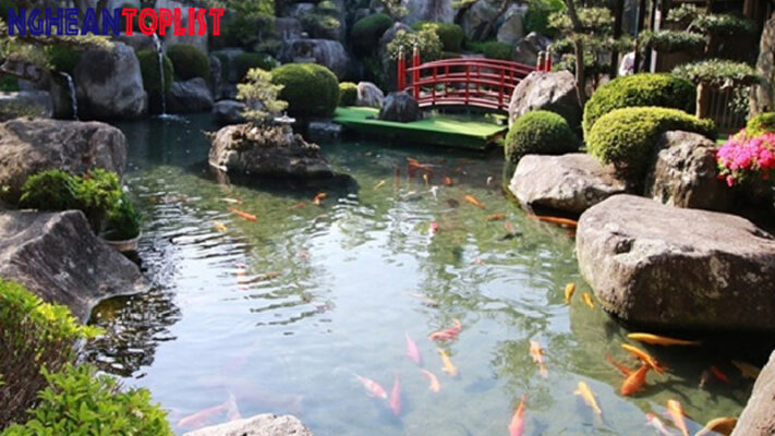 thi công hồ cá Koi tại Nghệ An