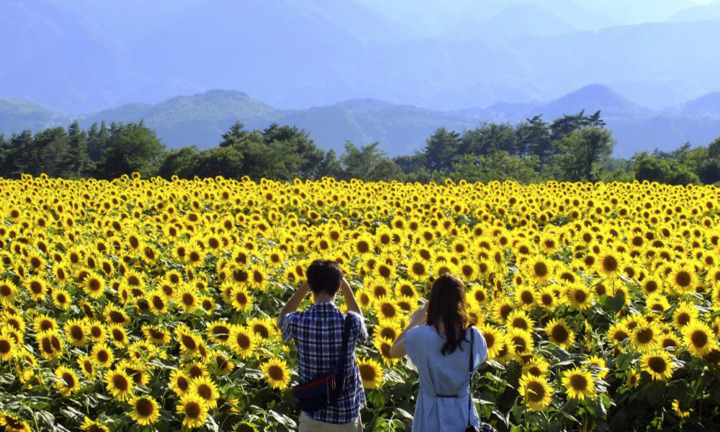 Mê mẩn Top 10 địa điểm đi chơi 14/2 ở Nghệ An lý tưởng nhất 4
