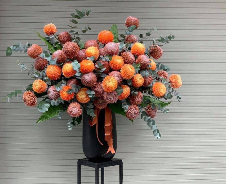 Hoa Calucky - Điện hoa Nghệ An