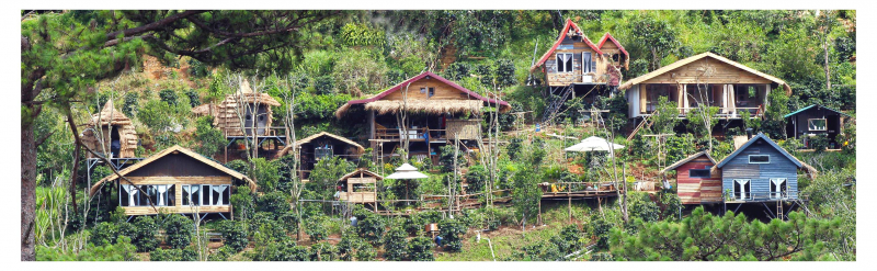 Owl in the Tree Homestay