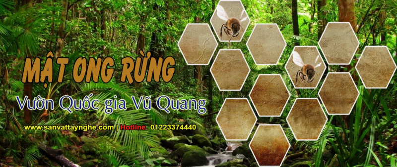 Sản phẩm của Tây Nghệ