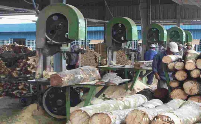 cac-loai-may-che-bien-go-pho-bien-hien-nay-2